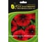 Семена ELITE PLANT-BREEDING & SEED PRODUCTION Co. Петуния суперкаскадная изи вейв ред велюр f1 50 шт эс 1999944785 1