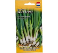 Семена ГАВРИШ Лук батун Байя Верде 0.2 г, Голландия 1999942456