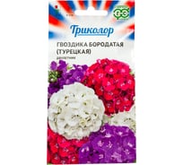 Семена ГАВРИШ Гвоздика бородатая (турецкая) смесь Триколор, 0.6 г 1999948212