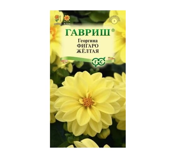 Семена ГАВРИШ Георгина Фигаро желтая 7 шт. 1071857503