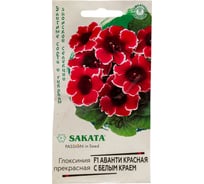 Семена ГАВРИШ Глоксиния Аванти красная с белым краем 4 шт. Саката Эксклюзив 1071857052