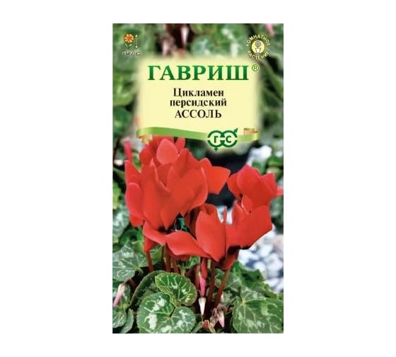 Цикламен ГАВРИШ Ассоль персидский 3 шт 2489 1