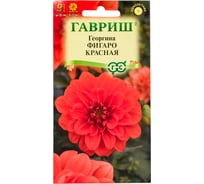 Георгина ГАВРИШ Фигаро красная 7 шт 1071857504