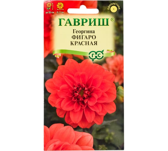Георгина ГАВРИШ Фигаро красная 7 шт 1071857504