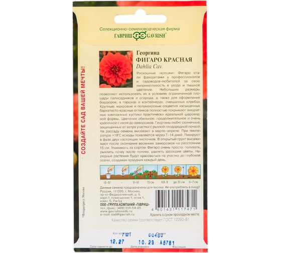 Георгина ГАВРИШ Фигаро красная 7 шт 1071857504