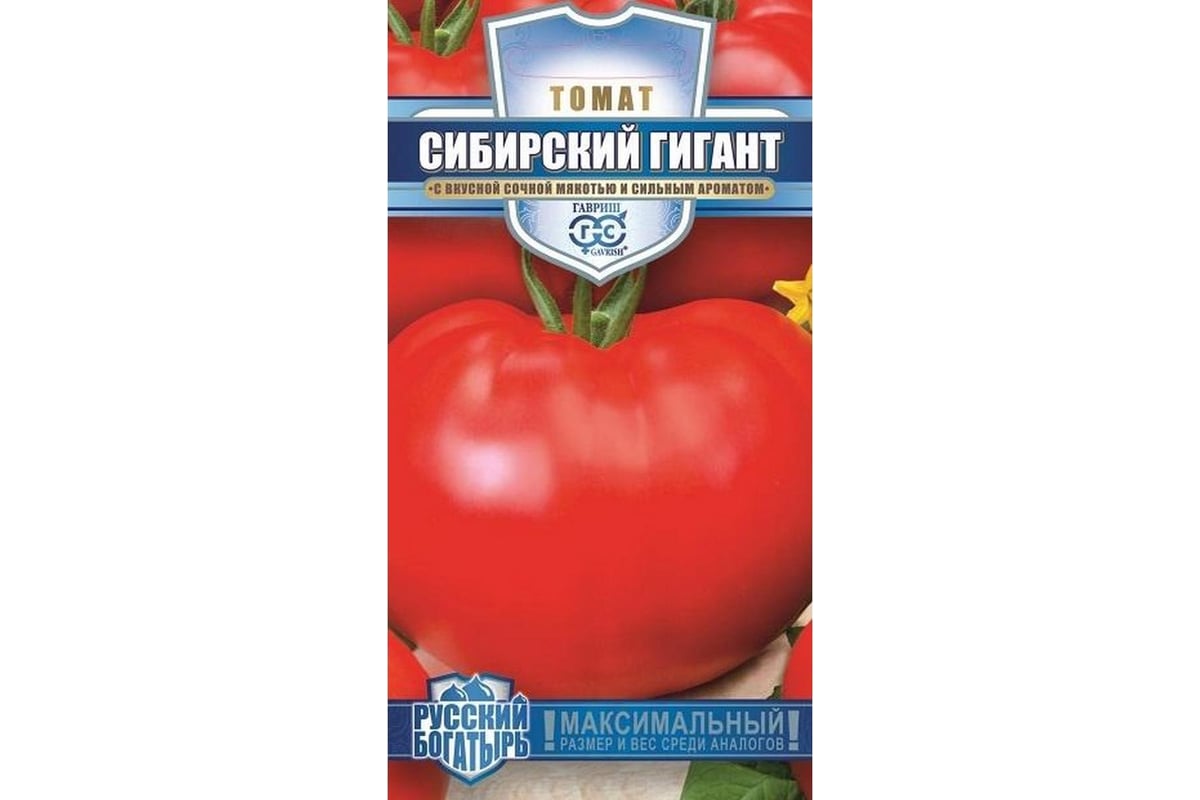 Сорт Томатов Малиновый Слон Отзывы Фото
