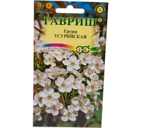 Семена ГАВРИШ Груша Уссурийская 0.3 г 1999942753