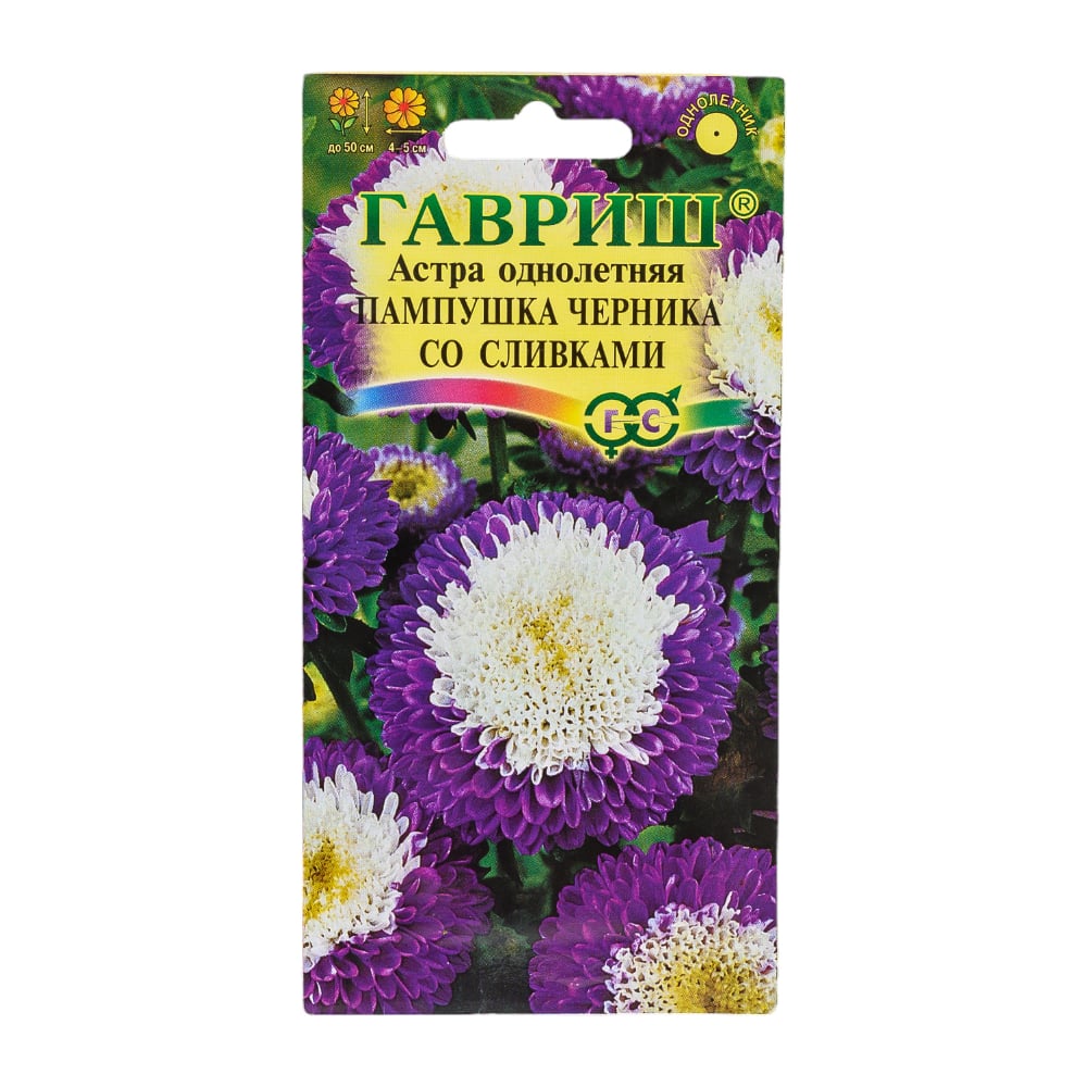 Астра ГАВРИШ Пампушка черника со сливками, однолетняя помпонная, 0,3 г ...