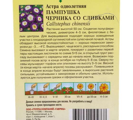 Астра ГАВРИШ Пампушка черника со сливками, однолетняя помпонная, 0,3 г 10006548