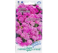 Семена ГАВРИШ Иберис Турмалин 0.1 г 1071857694