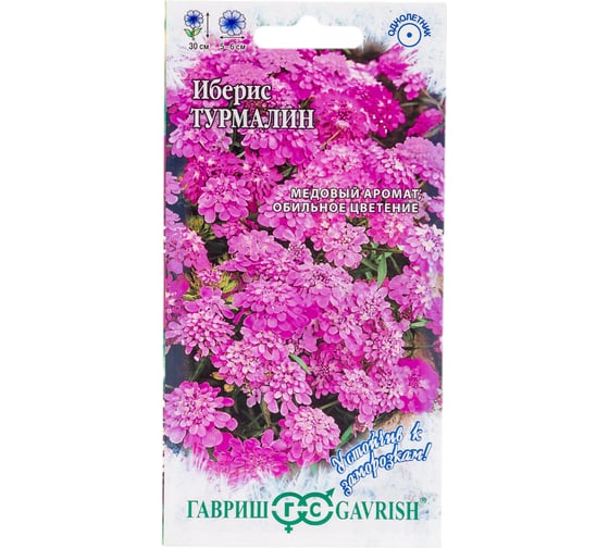 Семена ГАВРИШ Иберис Турмалин 0.1 г 1071857694 1