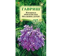 Семена ГАВРИШ Жакаранда Фиалковое дерево 3 шт. 1912237650