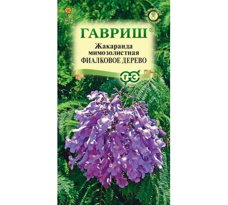 Семена ГАВРИШ Жакаранда Фиалковое дерево 3 шт. 1912237650