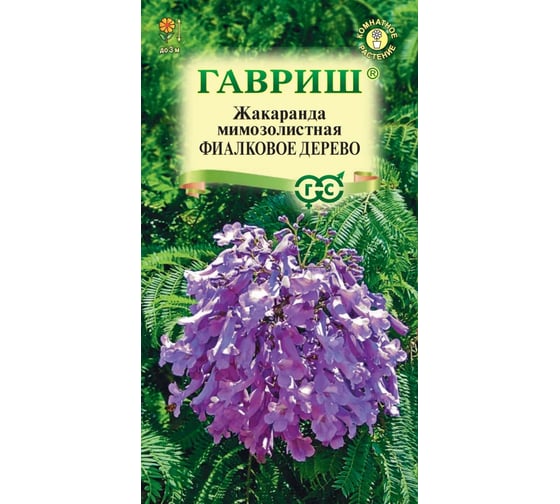 Семена ГАВРИШ Жакаранда Фиалковое дерево 3 шт. 1912237650 1