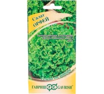 Салат ГАВРИШ Орфей 0,5 г хрустящий, зеленый 1071856606