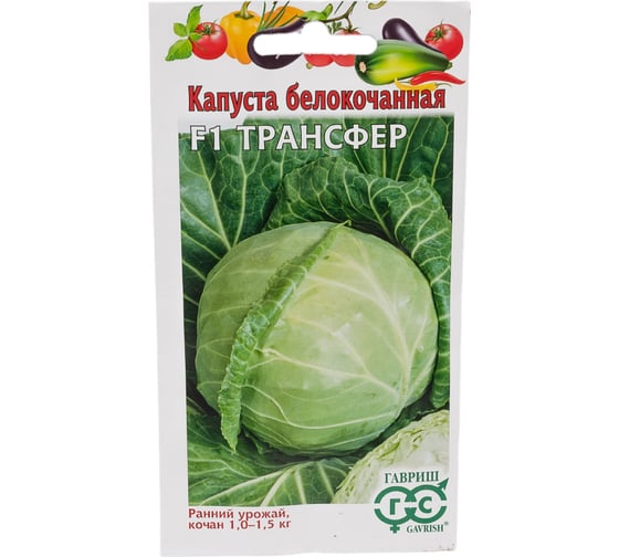 Капуста ГАВРИШ белокочанная Трансфер 10 шт, ранняя 1071856503 1