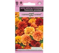 Бархатцы ГАВРИШ Хамелеон розовый (Тагетес) 5 шт, серия Эксклюзив 1999947055
