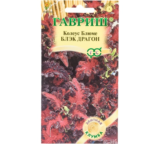 Колеус ГАВРИШ Блэк Драгон 4 шт, Элитная клумба 1071857903 1