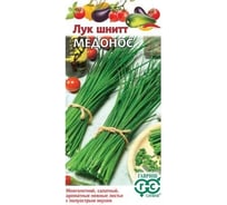 Семена ГАВРИШ Лук шнитт Медонос 0.5 г 10001458