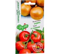 Семена ГАВРИШ Лук репч. Задира 0.5 г+Томат Нафаня 0.05 г Дуэт Хорошие соседи Н18 1071858131