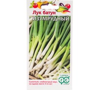 Семена ГАВРИШ Лук батун Изумрудный 0.5 г 1071856550