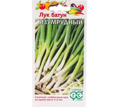Семена ГАВРИШ Лук батун Изумрудный 0.5 г 1071856550