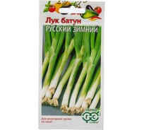 Семена ГАВРИШ Лук батун Русский зимний 0.5 г 002199