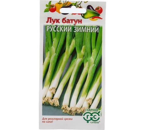 Семена ГАВРИШ Лук батун Русский зимний 0.5 г 002199