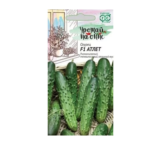 Семена ГАВРИШ Огурец Атлет 10 шт. Урожай на окне 10002185 1