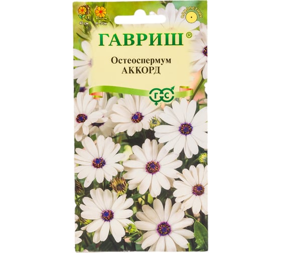Семена ГАВРИШ Остеоспермум Аккорд (белый) 0.1 г 10001714 1