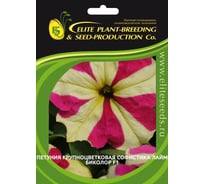 Семена ELITE PLANT-BREEDING & SEED PRODUCTION Co. Петуния крупноцвет софистика лайм биколор f1 10 шт эс мини 1070016654