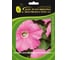 Семена ELITE PLANT-BREEDING & SEED PRODUCTION Co. Петуния многоцвет карпет пинк f1 500 шт эс 1910577 1