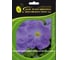 Семена ELITE PLANT-BREEDING & SEED PRODUCTION Co. Петуния многоцвет карпет скай блу f1 500 шт эс 1910575 1