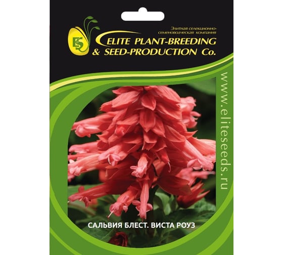 Семена ELITE PLANT-BREEDING & SEED PRODUCTION Co. Сальвия блестящая виста роуз 500 шт эс 1026994197