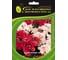 Семена ELITE PLANT-BREEDING & SEED PRODUCTION Co. Флокс друммонди промис микс 25 шт эс мини 1999949373 2
