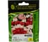 Семена ELITE PLANT-BREEDING & SEED PRODUCTION Co. Флокс друммонди промис микс 25 шт эс мини 1999949373 1