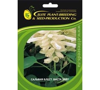 Семена ELITE PLANT-BREEDING & SEED PRODUCTION Co. Сальвия блестящая виста уайт 50 шт эс мини 1026994194