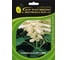 Семена ELITE PLANT-BREEDING & SEED PRODUCTION Co. Сальвия блестящая виста уайт 50 шт эс мини 1026994194 1