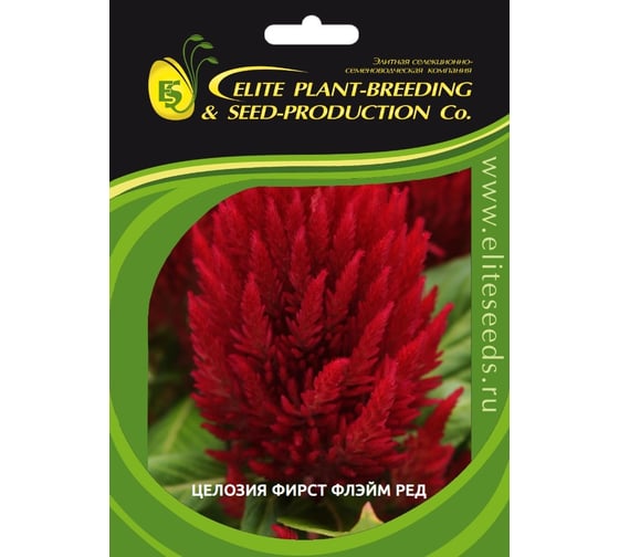 Семена ELITE PLANT-BREEDING & SEED PRODUCTION Co. Целозия перистая фирст флэйм ред 30 шт эс мини 1999949342 1