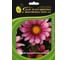Семена ELITE PLANT-BREEDING & SEED PRODUCTION Co. Гацания нью дей пинк шейдз f1 250 шт эс 1910598 1