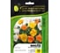 Семена ELITE PLANT-BREEDING & SEED PRODUCTION Co. Виола виттрока панола хр цитрус микс f1 50 шт эс мини 1070016647 1