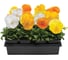 Семена ELITE PLANT-BREEDING & SEED PRODUCTION Co. Виола виттрока панола хр цитрус микс f1 50 шт эс мини 1070016647 2