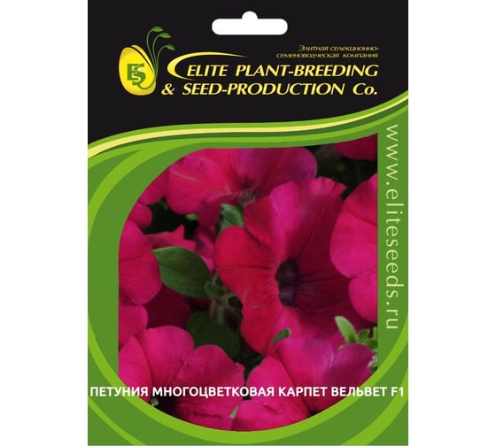 Семена ELITE PLANT-BREEDING & SEED PRODUCTION Co. Петуния многоцвет карпет вельвет f1 100 шт эс мини 1999943418 1
