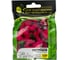 Семена ELITE PLANT-BREEDING & SEED PRODUCTION Co. Петуния многоцвет карпет вельвет f1 100 шт эс мини 1999943418 4