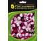 Семена ELITE PLANT-BREEDING & SEED PRODUCTION Co. Петуния суперкаскадная изи вейв бургунди стар f1 10 шт эс мини 1070016652 2