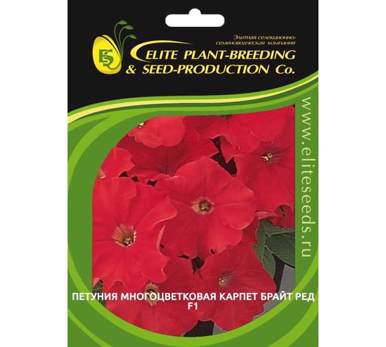 Семена ELITE PLANT-BREEDING & SEED PRODUCTION Co. Петуния многоцвет карпет брайт ред f1 500 шт эс 1910578 1