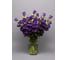 Семена ELITE PLANT-BREEDING & SEED PRODUCTION Co. Колокольчик средний кампана дип блу f1 20 шт эс мини 107079537 2