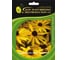 Семена ELITE PLANT-BREEDING & SEED PRODUCTION Co. Рудбекия блестящая голдструм 50 шт эс мини 1070016663 1