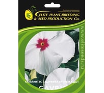 Семена ELITE PLANT-BREEDING & SEED PRODUCTION Co. Катарантус гибридный пацифика хр полка дот 70 шт эс мини 1999943236