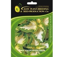 Семена ELITE PLANT-BREEDING & SEED PRODUCTION Co. Колеус блюме визард джейд 70 шт эс мини 1999943225